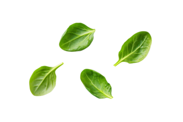 Four green leaves of spinach are shown in the air, isolated