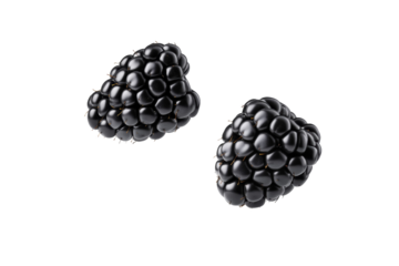 Two black berries with a white background, isolated