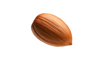 Nut with brown hair is shown in the air, isolated