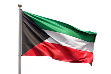 waving flag of palestine