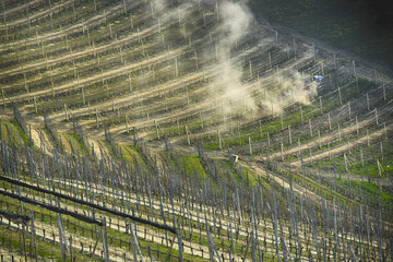 Polvere nei vigneti -  Colline Serralunga d'Alba 
Cuneo -Piemonte - Italia