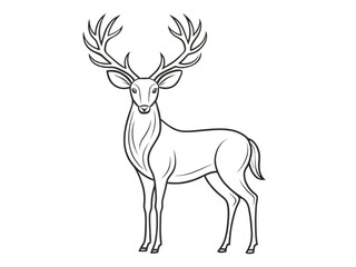 deer vector illustration