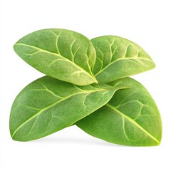Obraz premium Vibrant Green Leaf: Fresh Organic Salad Ingredient & Healthy Culinary Herb for Wellness and Sustainability