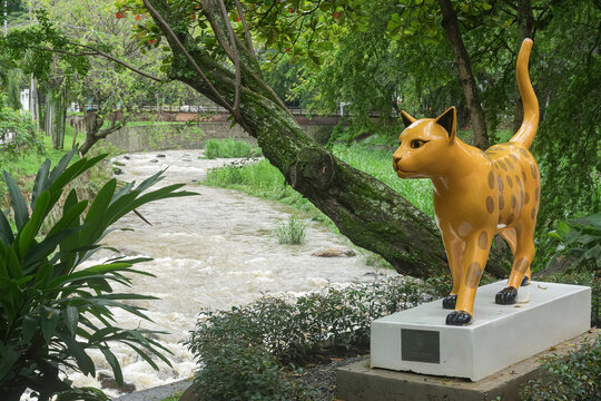 Monument to the kittens in the river park in Cali sculpted by Alejandro Valencia Tejada.