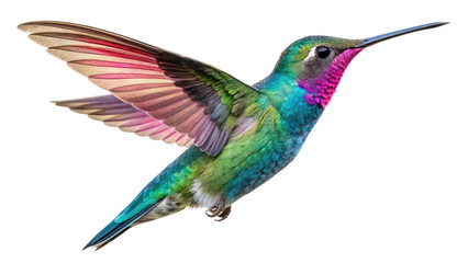 Bright and colorful hummingbird in mid-flight with shimmering feathers, perfect for nature and wildlife-themed designs on transparent background PNG

