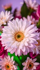 Fototapeta premium Close-up photo of white chrysanthemum bouquet. Abstract floral background, Colored gel lighting. with white shades