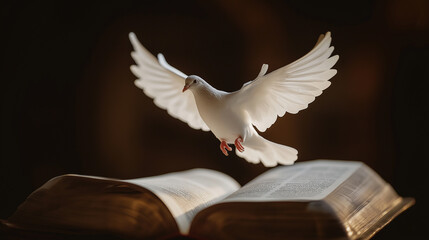 White dove fly over bible holy spirit roll bible tomb peace freedom. Purity Noah ark covenant new testament old testament baptism. Jesus Baptist gospel symbolism god heaven grace hope love spirit.
