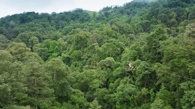 Experience the lush greenery of Costa Rica with an aerial view of an exhilarating zipline adventure through dense forests, showcasing breathtaking landscapes for an unforgettable experience