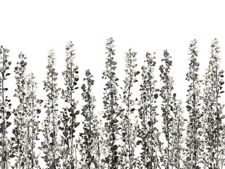 Monochrome botanical foliage on a white backdrop, elegant design