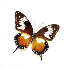 Obraz premium beautiful butterfly with vibrant wings on white background