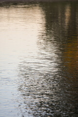 Murrary River 