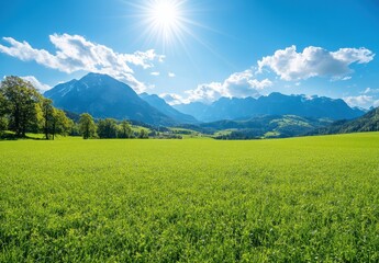 Fototapeta premium Stunning Green Meadow Under Vibrant Blue Sky with Bright Sunlight and Majestic Mountains in the Background on a Clear Summer Day