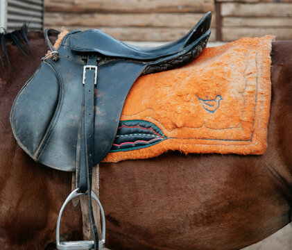 Saddle on Horseback