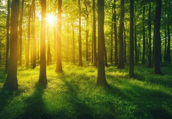 Obraz premium Tranquil forest landscape at sunrise with golden light filtering through lush green leaves and casting long shadows on the vibrant grass floor