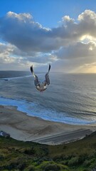 seagull fly above the beach