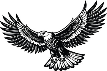 Fototapeta premium Flying Bald Eagle black and white Silhouette vector