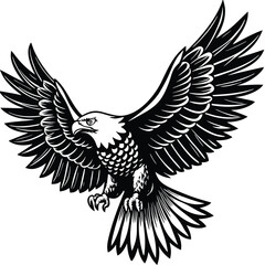 Fototapeta premium Flying Bald Eagle black and white Silhouette vector