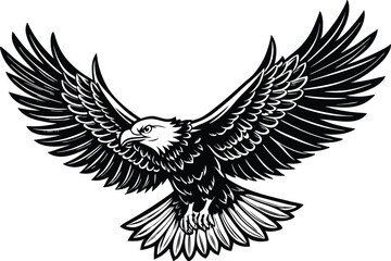 Fototapeta premium Flying Bald Eagle black and white Silhouette vector