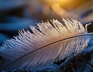 Macro of a bird’s feather covered in delicate frost patterns, glowing in soft morning light