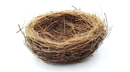 Empty bird nest isolated on white background