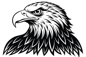 Obraz premium Eagle Face Silhouette Bald Eagle Head Vector