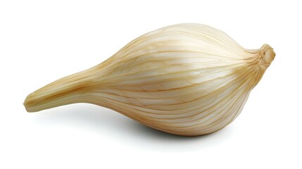 Fresh fennel bulb isolated on white background
