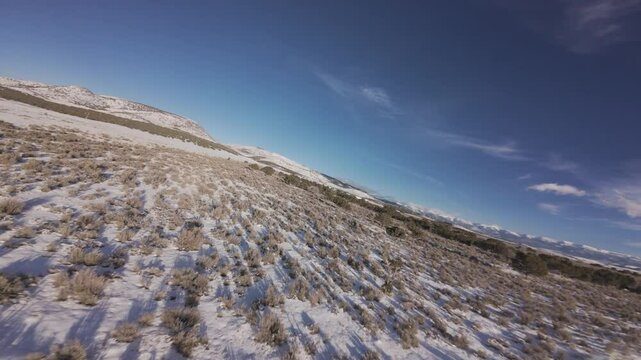 Aerial-FPV-First person view-Banking over lone cedar tree and over snowy sagebrush flat with long shadows cast by the setting sun under a blue sky with high wispy clouds