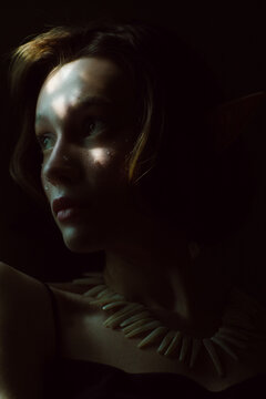 Portrait of an Elf girl