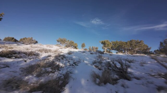 Aerial-FPV-First person view-Chasing drone shadow up snowy hill through sage and cedar-juniper trees with long sundown shadows under a dark blue sky