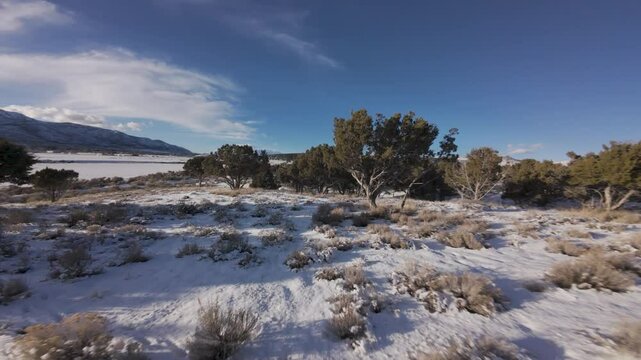 Aerial-FPV-First person view-Flying low and fast over snowy hill top through sagebrush and cedar trees with ascent to reveal valley beyond 
