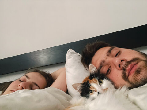 UGC selfie shot of young couple sleeping in bed with calico cat 