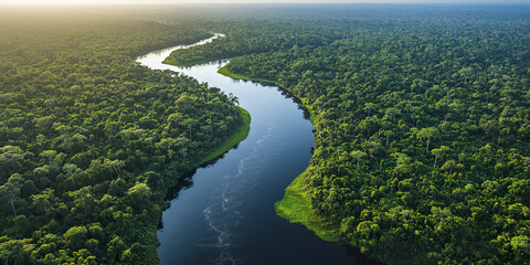 Aerial view of winding river in lush rainforest landscape