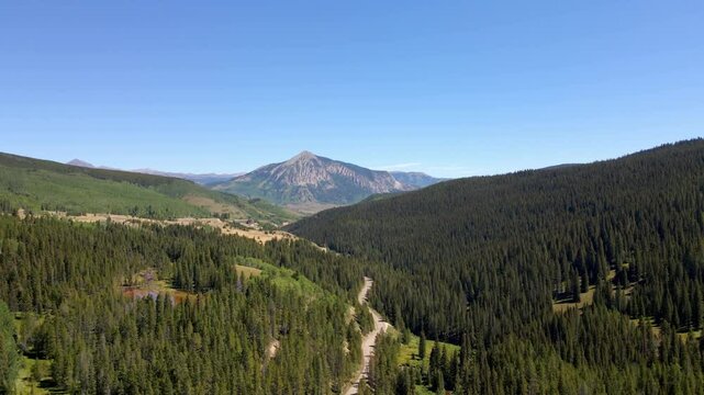 nature in crested butte 