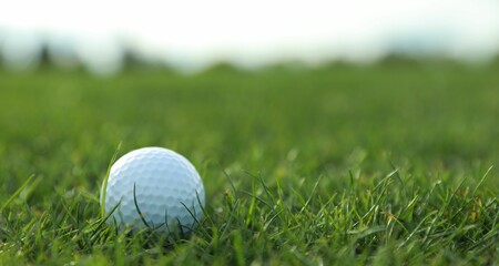 Golf ball on green course, closeup. Space for text