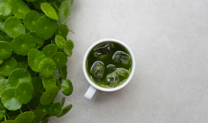 Herbal juice drink, Fresh green centella asiatica leaves or water pennywort plant or gotu kola.