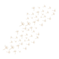 dandelion logo concept wallpaper background design illustration dandelion plant template flying
