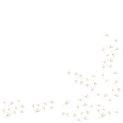 dandelion logo concept wallpaper background design illustration dandelion plant template flying