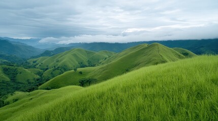 Fototapeta premium Idyllic rolling hills covered with lush green grass and majestic mountains in the background creating a peaceful scene
