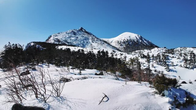 冠雪の八ヶ岳連峰の天狗岳のパノラマ