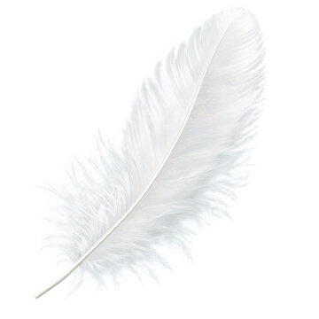 Fototapeta a soft fluffy white feather rests against a smooth neutral background showcasing its delicate texture and graceful shape often symbolizing purity and lightness