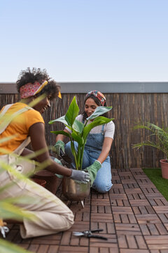 Laughing women gardening together