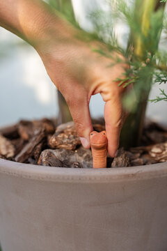 Woman using humidity indicator