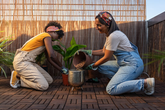 Gardeners working during sunset