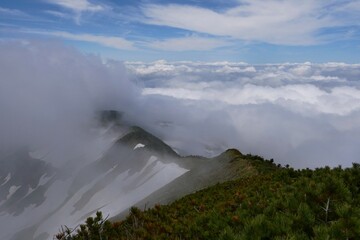 雲海が押し寄せる山の稜線