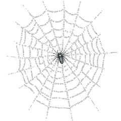 Obraz premium detailed illustration of a spider sitting at the center of its intricate web showcasing the delicate patterns and structure of the web it emphasizes the beauty of nature's designs