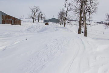 Fototapeta premium big snow drift on a Minnesota farm