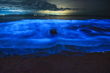 Bioluminescence sea sparkle Jervis bay, NSW, Australia.
11-07-2020
