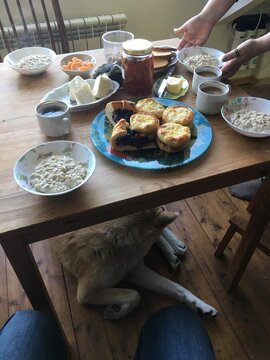 Morning Comforts: A Table of Simple Joys