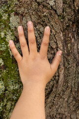 A close-up of a hand with all five fingers extended, gently resting on the trunk of a tree, connecting with nature.

