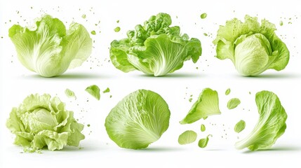 Obraz premium Dynamic Green Cabbages Exploding on White Background